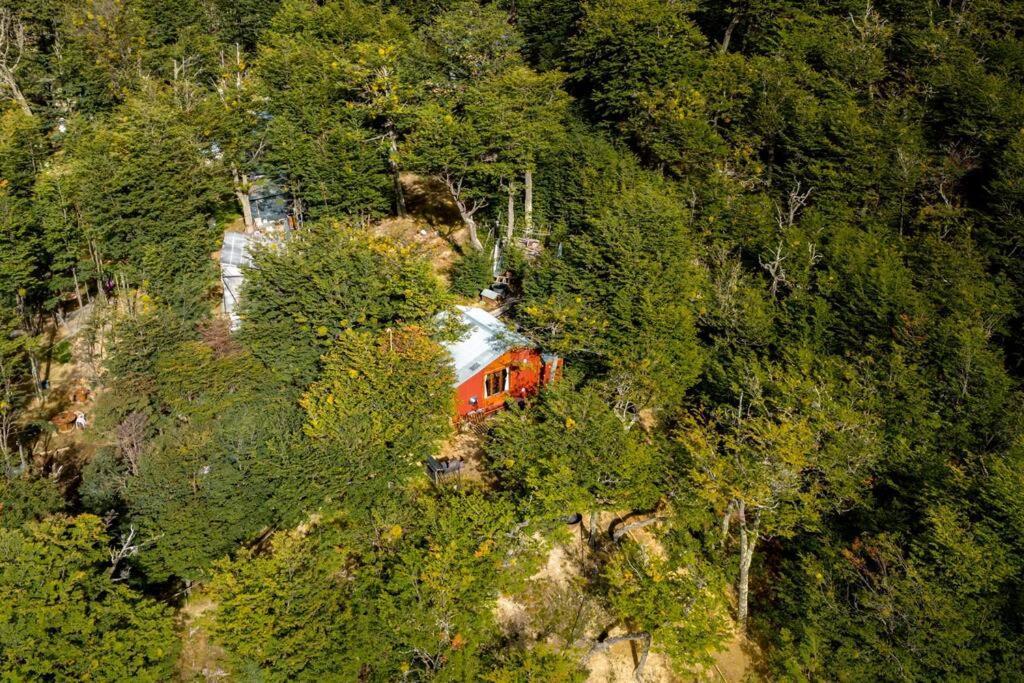 Cabana En El Bosque Con Cine Privado Y Jacuzzi
