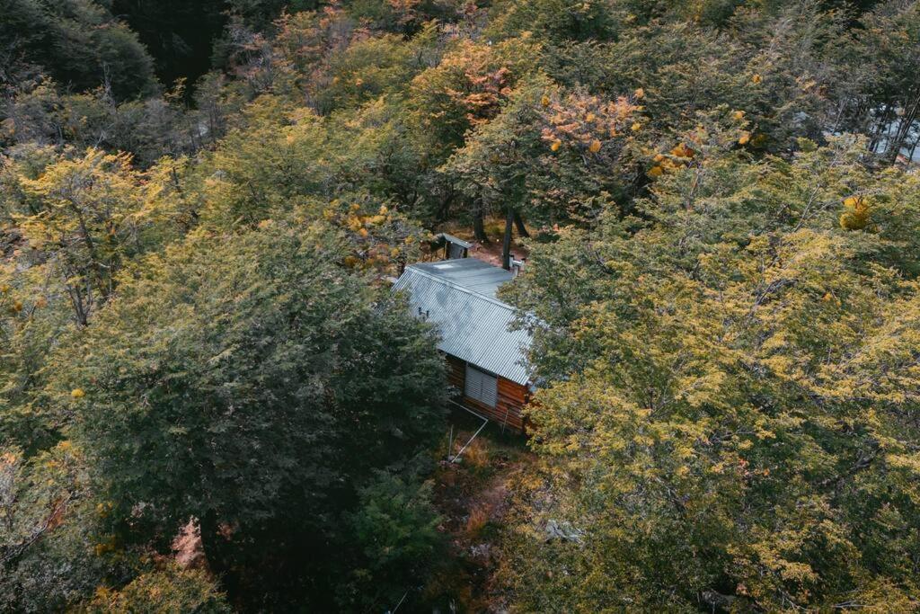 Cabana En El Bosque Con Cine Privado Y Jacuzzi Chalet Ushuaia